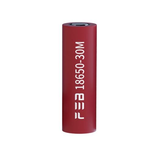 Far East 16850 3000mAh cell