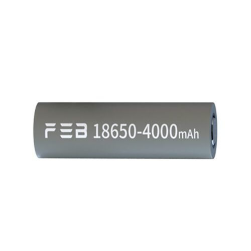 Far East 16850 4000mAh cell